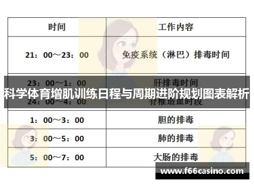 科学体育增肌训练日程与周期进阶规划图表解析