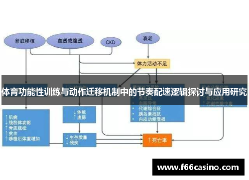 体育功能性训练与动作迁移机制中的节奏配速逻辑探讨与应用研究