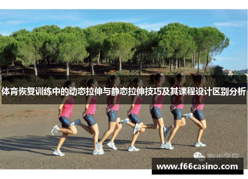 体育恢复训练中的动态拉伸与静态拉伸技巧及其课程设计区别分析